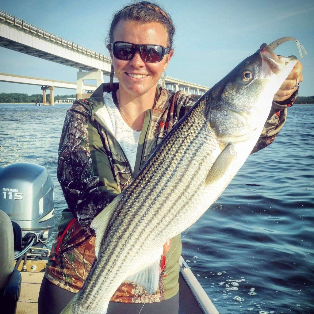 Chesapeake Bay Bridge striped bass