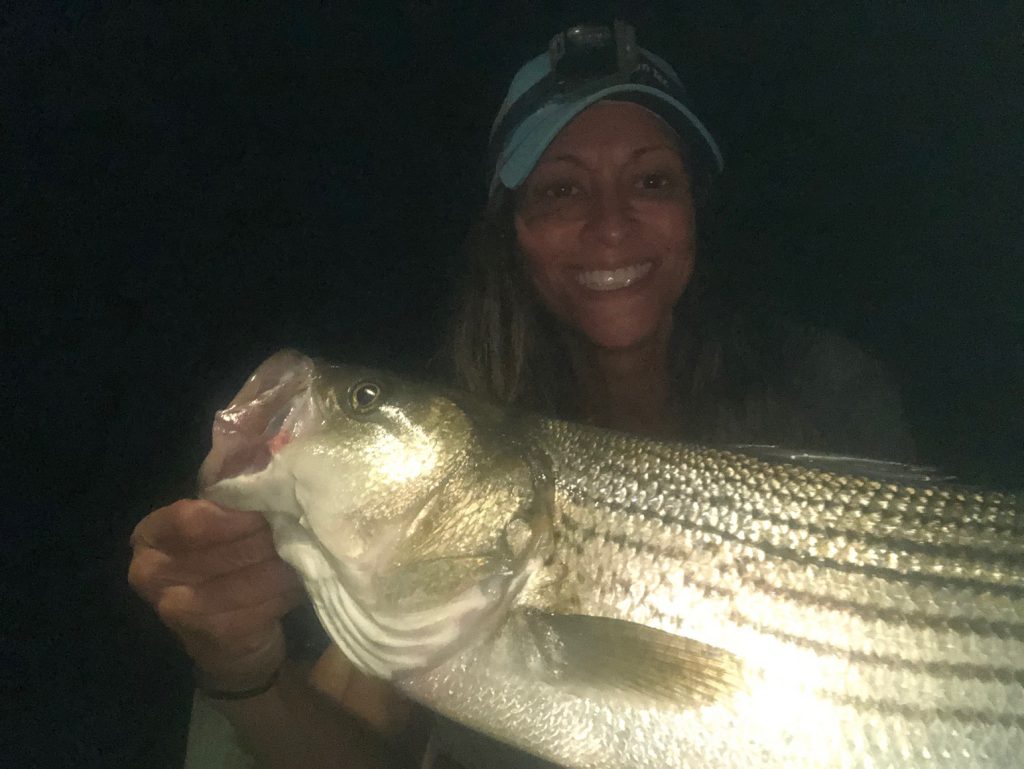 striped bass spots