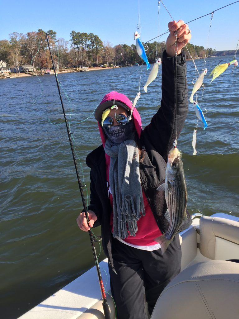 winter striped bass fishing