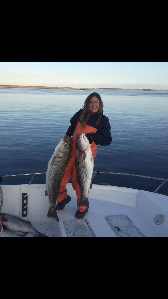 Massachusetts striped bass