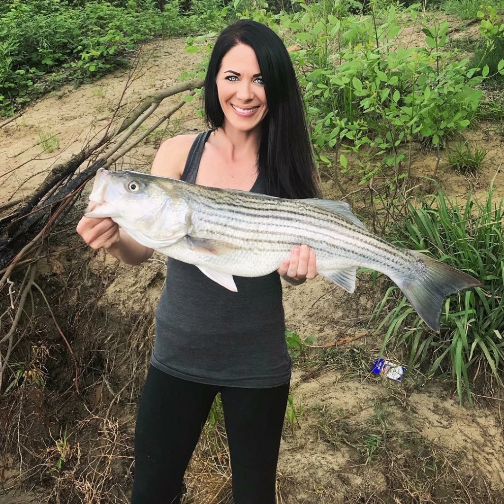 Sacramento striper