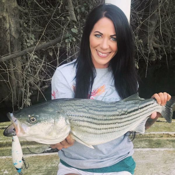 Sacramento River striped bass