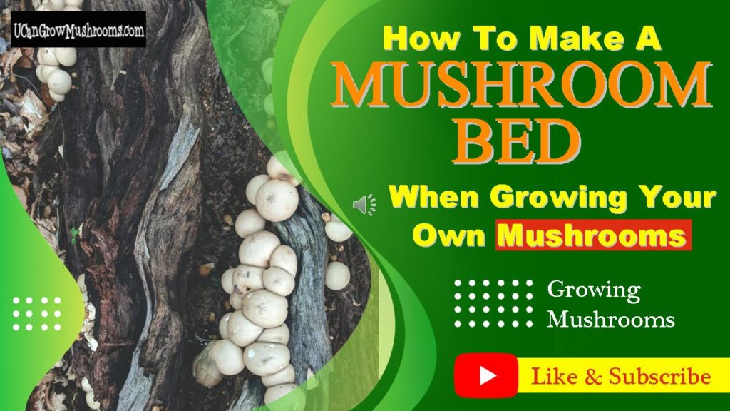 Mushroom Beds For Growing Mushrooms Outdoors